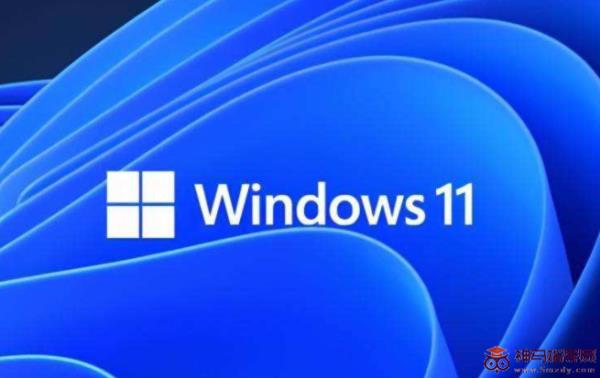 Windows11最低硬件要求dev是什么的介绍