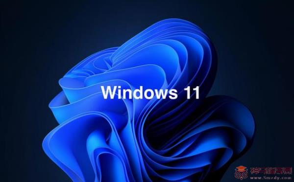 Windows11专业版和家庭版有什么区别哪个好