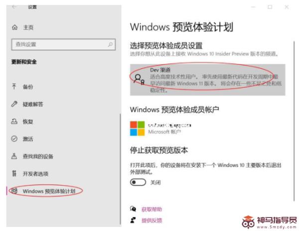 Windows11推送dev升级的方法
