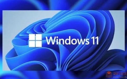 怎样使用Windows10双启动Windows11？