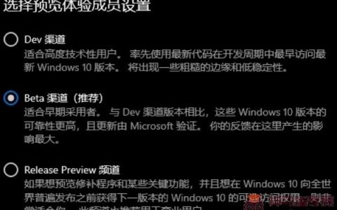 安装Windows11预览体验成员Beat渠道如何设置？