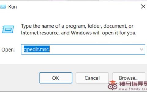 如何在Windows11上禁用文件资源管理器搜索历史记录？
