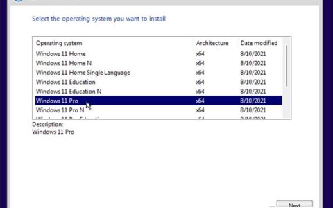 怎样执行全新安装Windows11？全新安装Windows11教程分享
