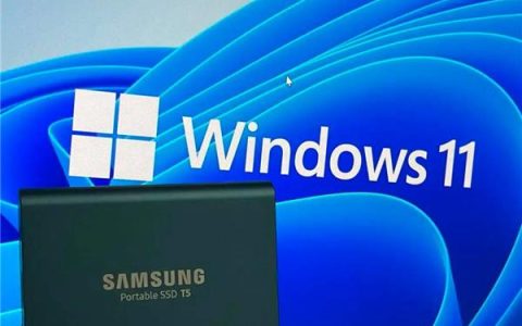如何在Windows11中备份文件并降级回Windows10？
