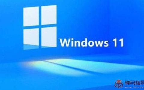 怎样在Windows11系统打开注册表编辑器？